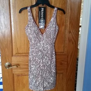 Primavera beaded dresd